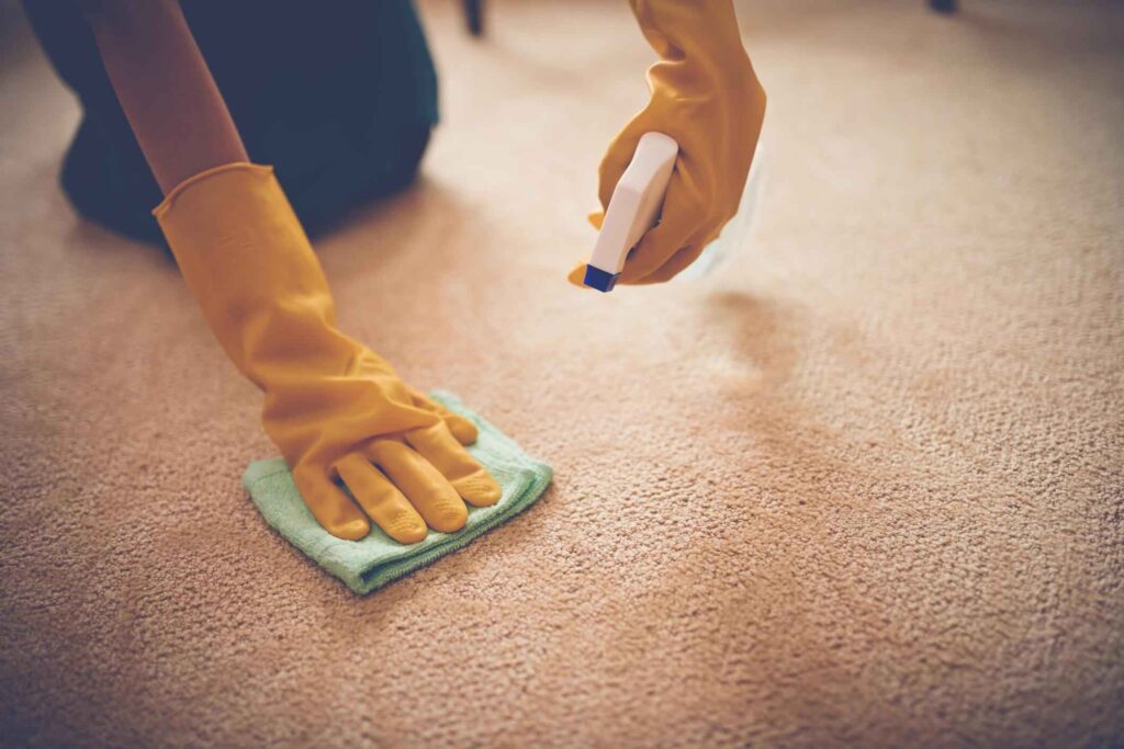 Stain Remover for carpet cleaning equipment